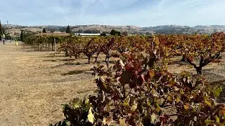 CAMPOS RURALES EN CALIFORNIA #california #morganhill