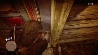 Strange Satchel Floating in Taxidermy House Void. RDR2