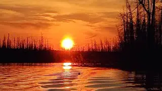 Отличный отдых на природе и не только