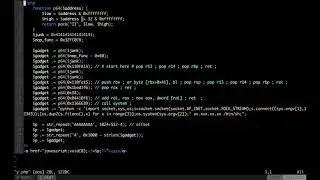 Fortigate SSL VPN PreAuth Remote Code Execution