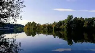 Nature+Birds Sound Effect