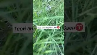 загибай палец если ты