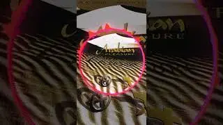 PRE-ORDER / SAVE NOW‼️⁠ ⁠ Mario Più & Mauro Picotto - Arabian Pleasure 🏜️