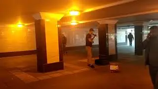skripka skripka