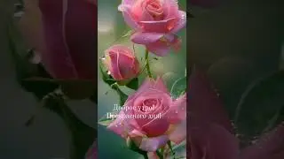 Доброе утро!