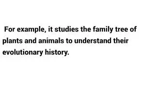 What is  Systematics?