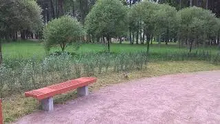 Белки - подготовка к зиме
