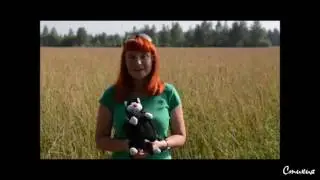 Сергей Есенин — Ах, как много на свете кошек