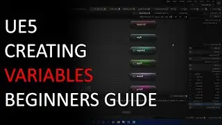 Blueprunts Creating Editing and Understanding Variables