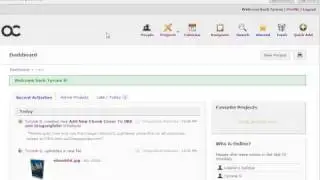How To Manage Outsourced Work - Active Collab Project Management System Review