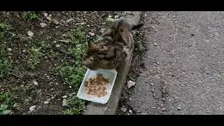 Майский вечер