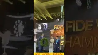 Дин Лижэнь - 17 ЧЕМПИОН МИРА по шахматам!