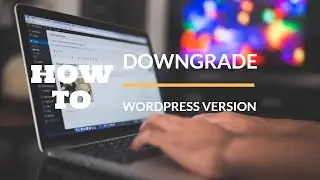 How to Downgrade the WordPress Version?