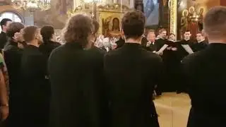 МИЛОСТЬ МИРА