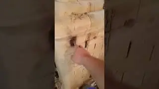 печка банная.  sauna stove. шамотный камень