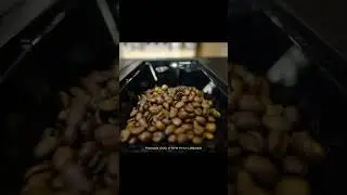 Автоматическая кофемашина Weissgauff WCM-576 Touch Cappuccino