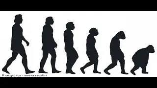 Islam, Evolution and Darwinism