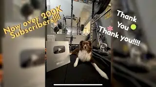 Hi! I’m Almond and this is my dad! Over 200k Subscribers!? Thank youuuu!