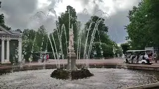 2 сентября 2024 г.