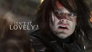 Bucky Barnes | Lovely