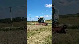 #енисей1200