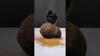 Coconut Shell Craft Work 🥥 🥥 🥥 #shorts #coconutshellcraft #art #diy