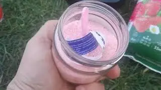 Удобрения для клубники - чем  кормим? Часть 1 (большая)