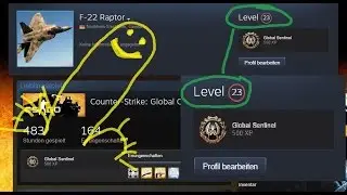 Steam Tutorial Freundesliste erweitern & Im Level aufsteigen