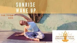 EASE: 15 minute pregnancy yoga | sunrise wake up | The Yoga Doc
