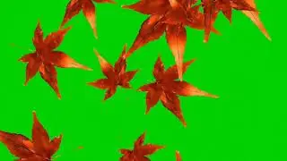 falling leaves green screen
