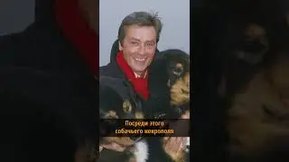 🐶🐱АЛЕН ДЕЛОН И ЕГО ПИТОМЦЫ🐕🐈‍⬛