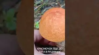 Чарівний підосичник йде до ТАТА в руці!#shorts