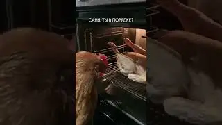 САНЯ, ТЫ В ПОРЯДКЕ?!