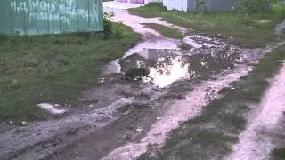 Кисы Кременчук 3