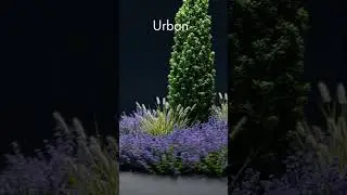 Baga Grove - Evermotion