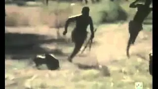 Afrikada maymunla domuz yakalama