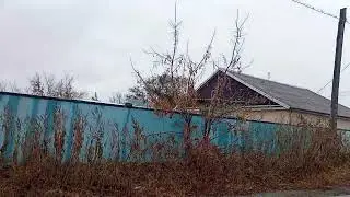 Ам жалау ❤️ көтім қышып жүр 😊