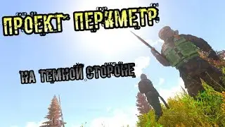 RPSTALKER проект Периметр Крос ч.18
