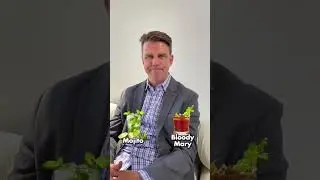 Asking attorneys their preferred cocktail.