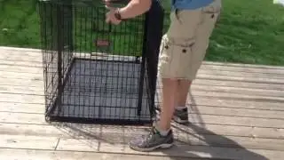 Folding up Kong dog crate