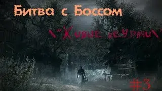 Bloodborne DLC The Old Hunters. Битва с боссом Живые неудачи.