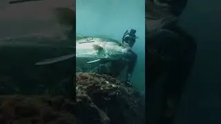 30KG De Pura Potencia 🔥