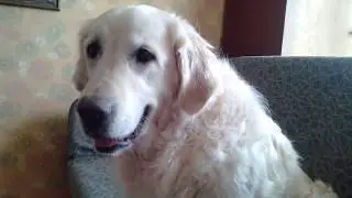 20180826 094236