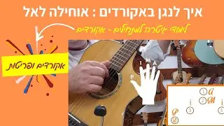 לימוד גיטרה | אוחילה לאל באקורדים | שיעור גיטרה למתחילים | אקורדים לגיטרה |