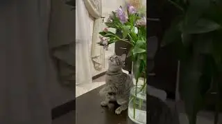 Факты о животных 