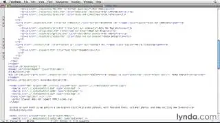 HTML5 Video and Audio in Depth -  Displaying subtitles and captions