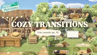 Filling in the Transition Areas! | lilac woods ep.10 ʕ·ᴥ·ʔ | Animal Crossing New Horizons
