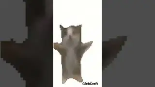 шни шна шнапи 