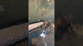 I Found a Lost Gangster Hideout!
