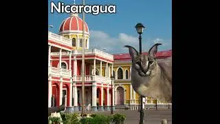 floppa visits the americas
